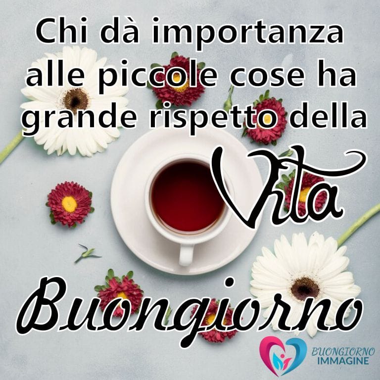 Immagini-buongiorno-con-frase-vita-immagini-bellissime-autunno-fiori-nuove-originali-gratis-fantastiche-WhatsApp-24o