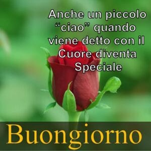 Immagini Buongiorno