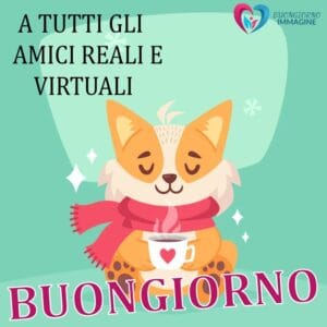 Buongiorno Gatti
