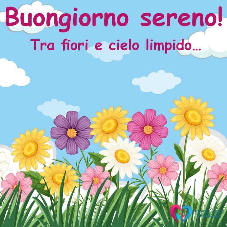 Un'illustrazione colorata con un cielo azzurro pieno di nuvole bianche, fiori variopinti come girasoli, margherite e altri fiori colorati tra cui giallo, viola e rosa, su un prato verde, con il testo "Buongiorno sereno!" e "Tra fiori e cielo limpido..." in rosa.