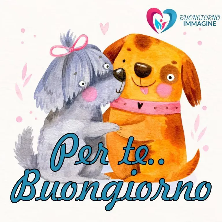 Buongiorno gattina grigia che abbraccia cagnolino arancione con fiocco