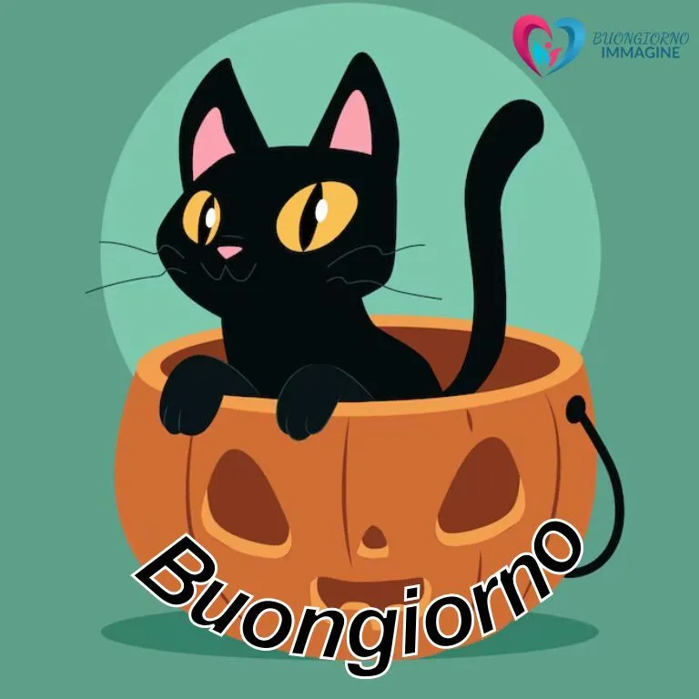 Buongiorno gattina nera kawaii nella zucca di Halloween