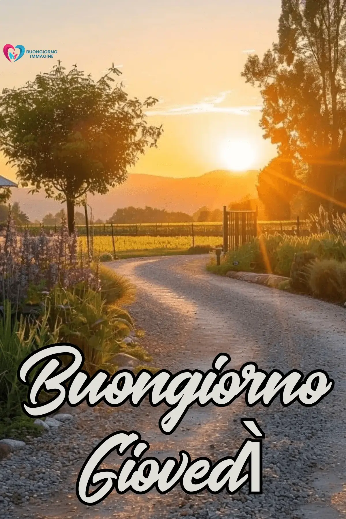 Buon Giovedì Immagini Allegre Gratis