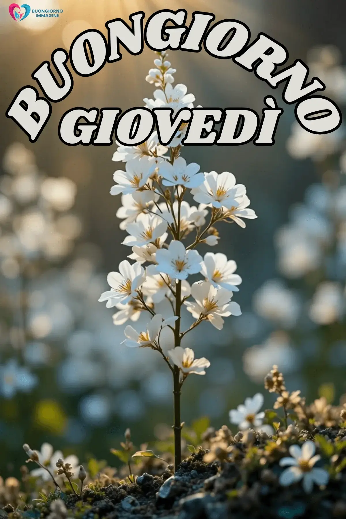 Buon Giovedì Immagini Buona Giornata
