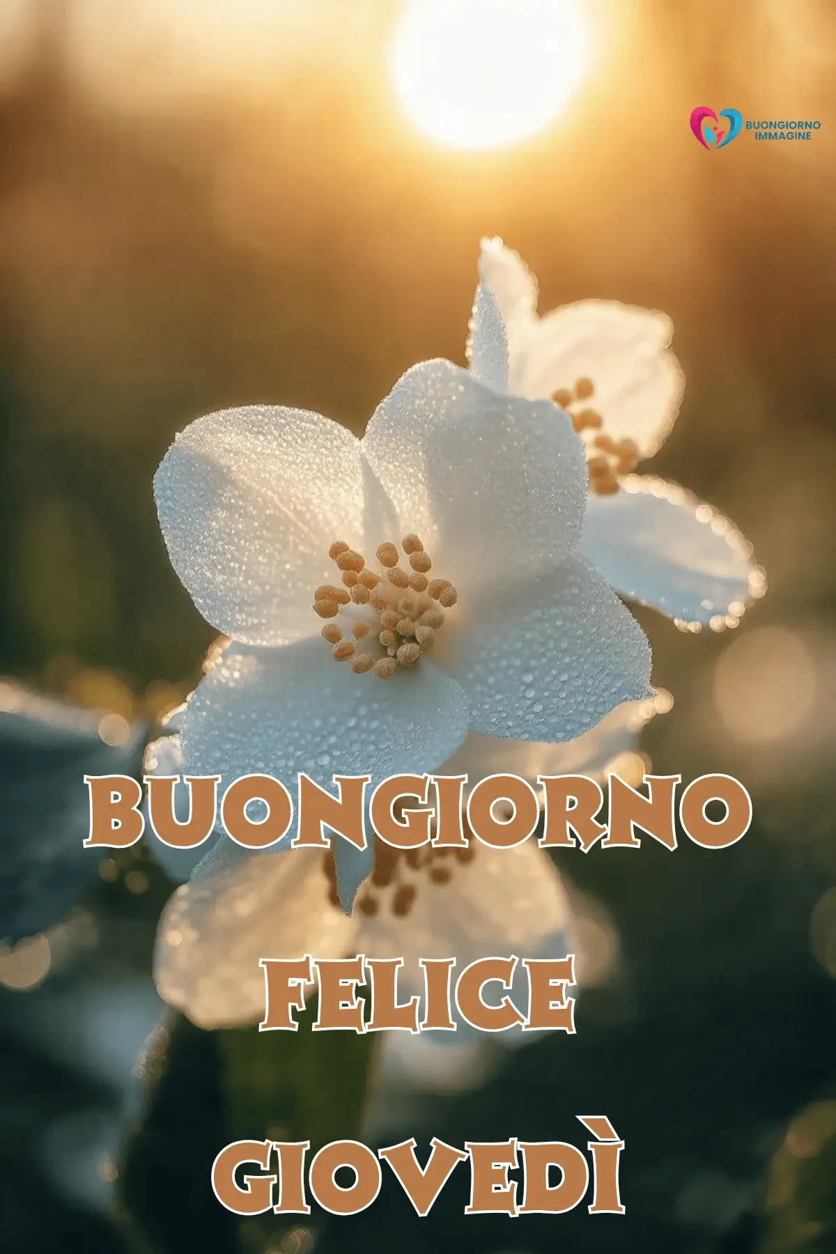 Buon Giovedì Immagini Colorate