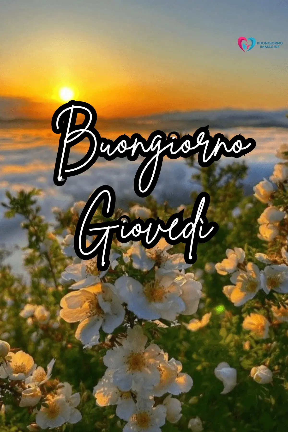 Buon Giovedì Immagini Divertenti 2026