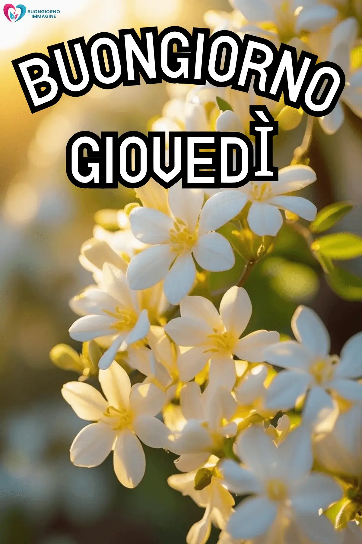 Buon Giovedì Immagini Felici