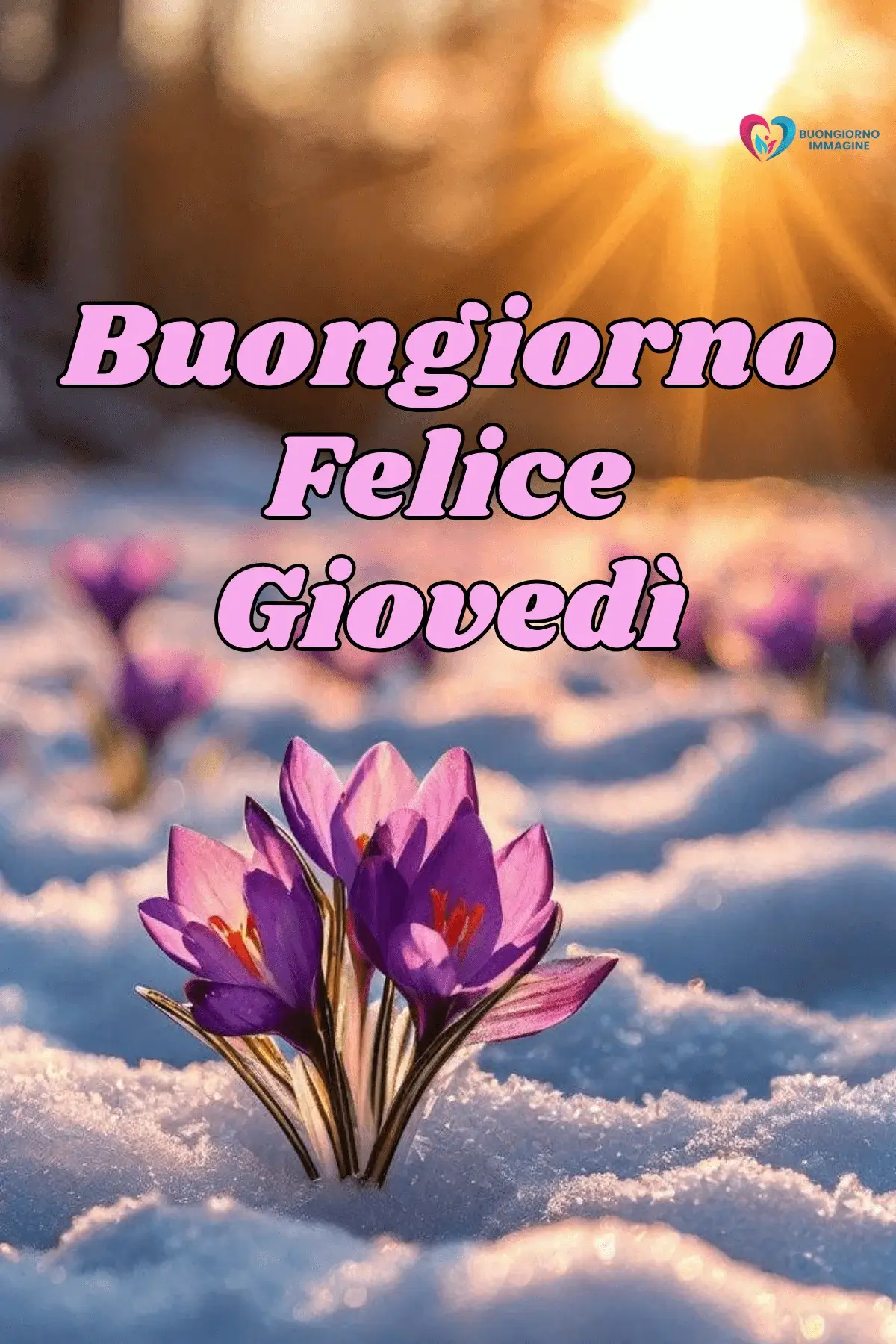 Buon Giovedì Immagini Nuova Stagione