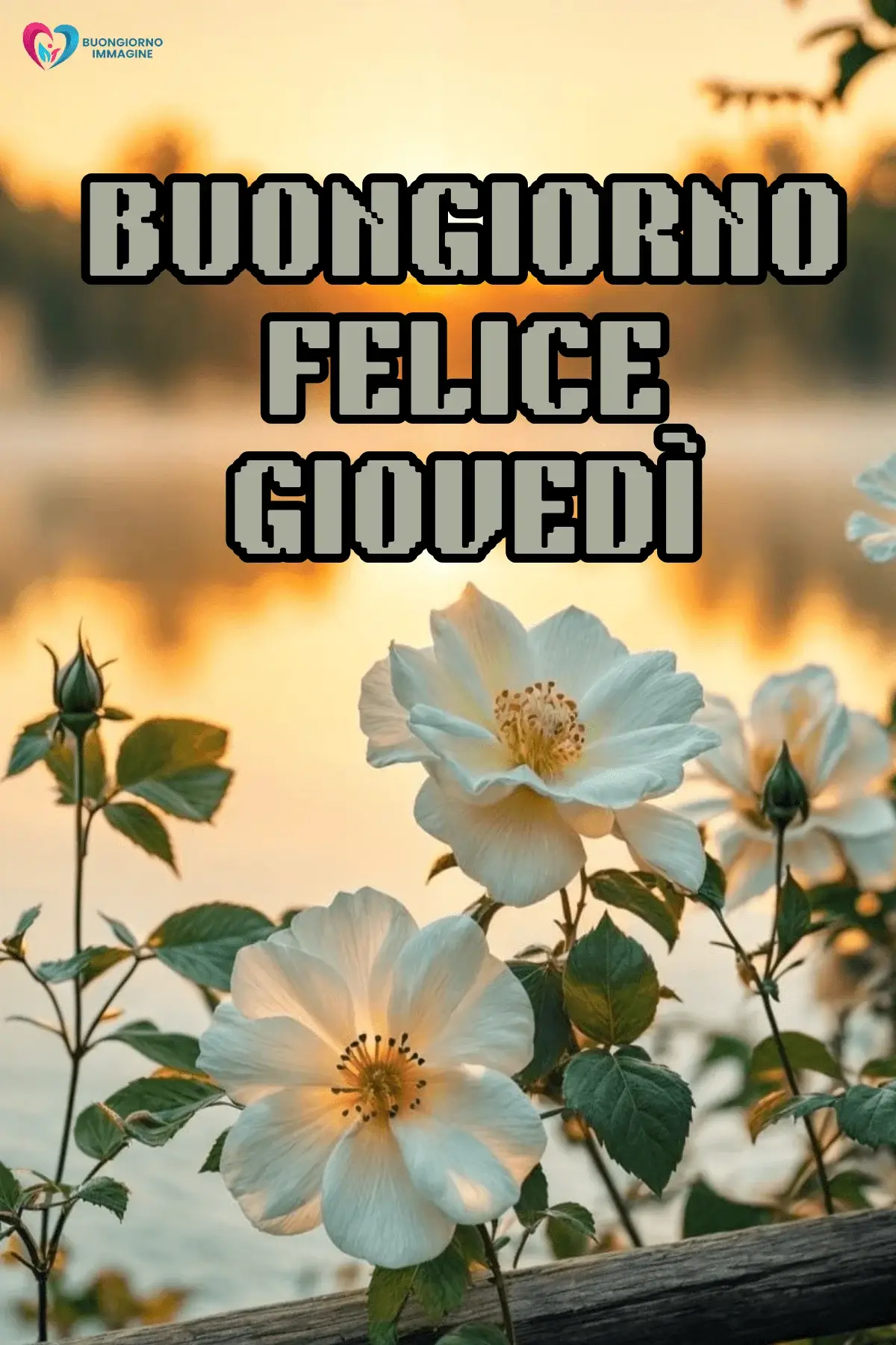 Buon Giovedì Immagini Spiritose