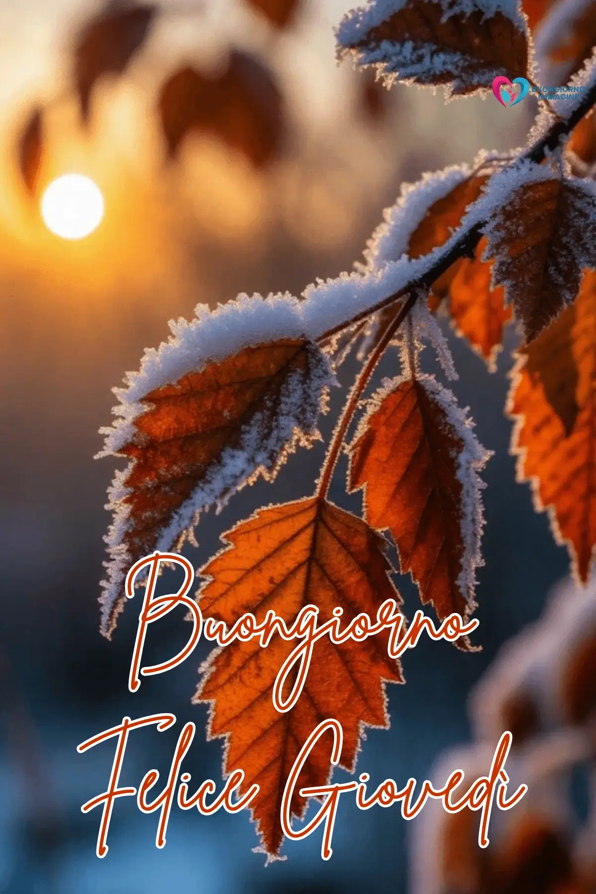 Buon Giovedì Immagini con Rose