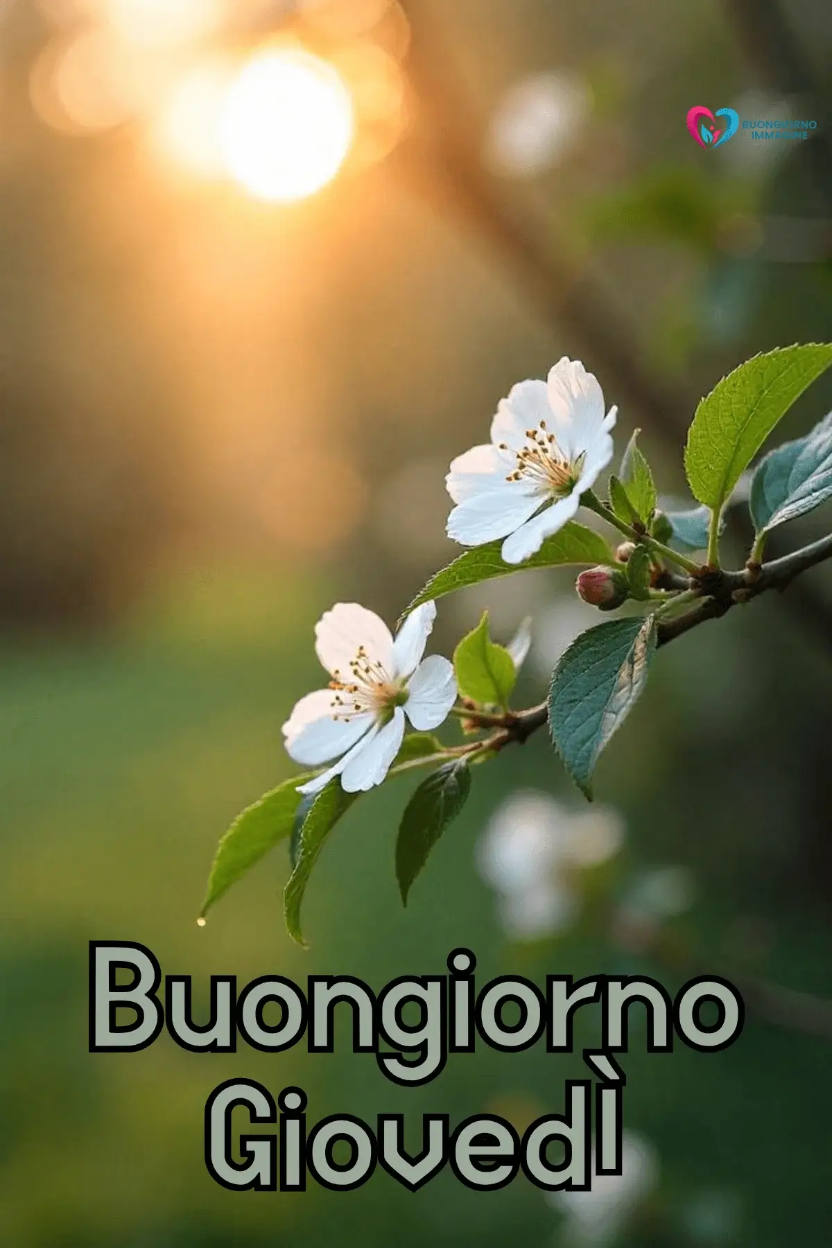Buon Giovedì Immagini con Sole