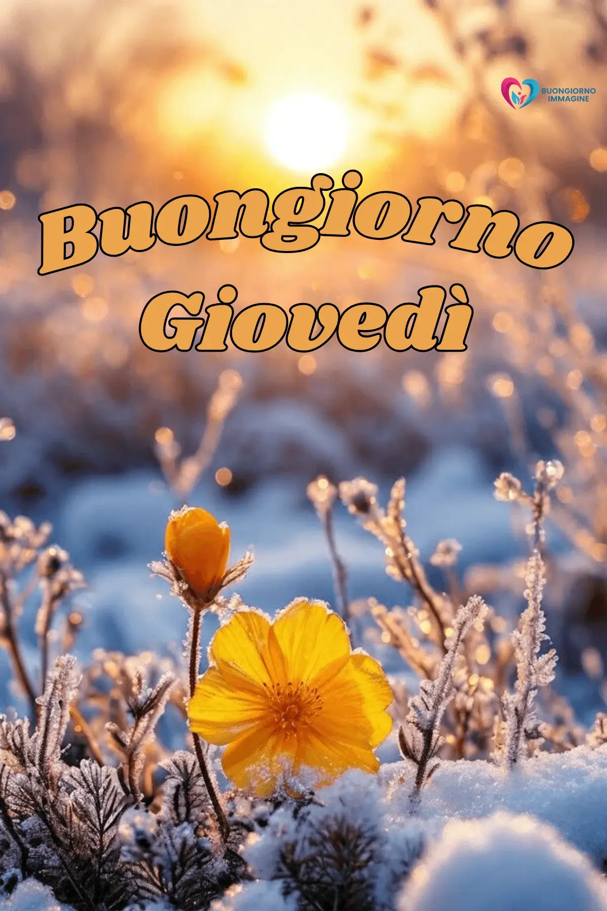Buon Giovedì Immagini per Amici