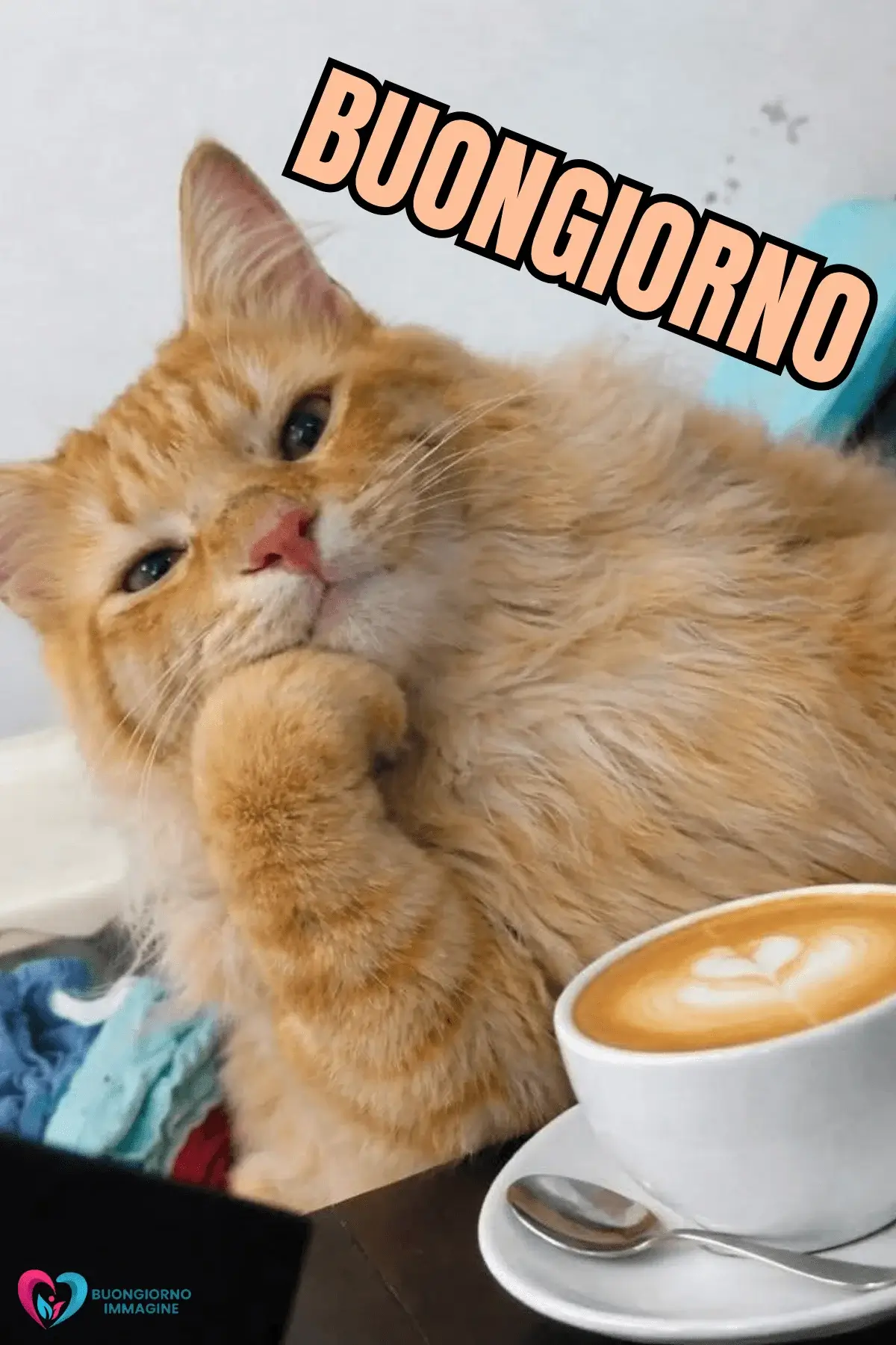 Buongiorno Divertente Immagini Gratis