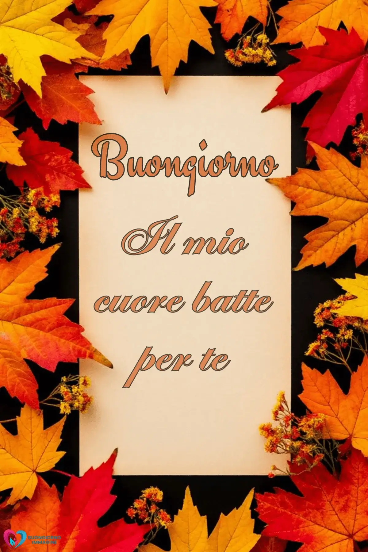 Frasi Buongiorno Gentili