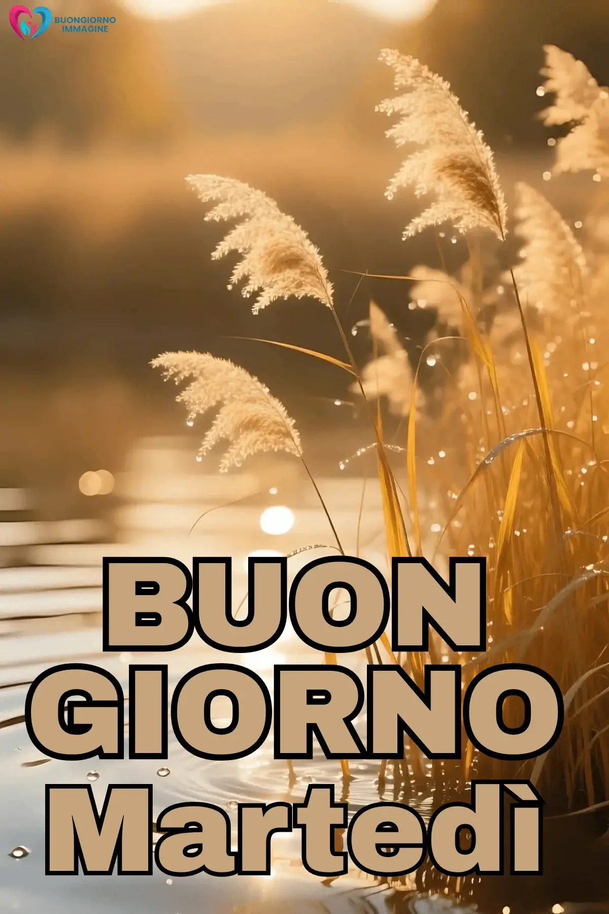 buon martedì immagini con frasi brevi