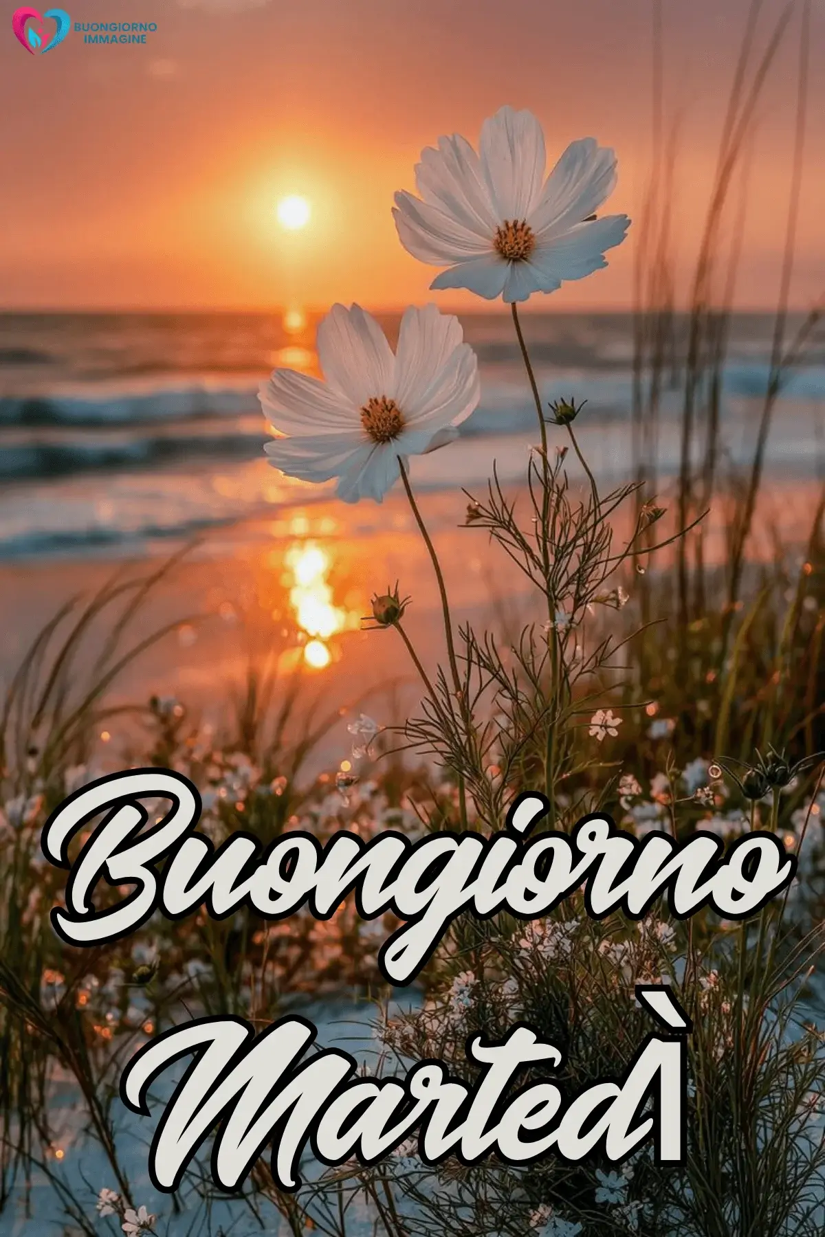 buon martedì immagini con messaggi dolci