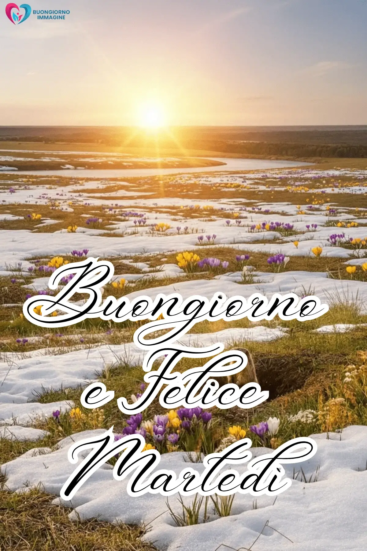 buon martedì immagini download veloce