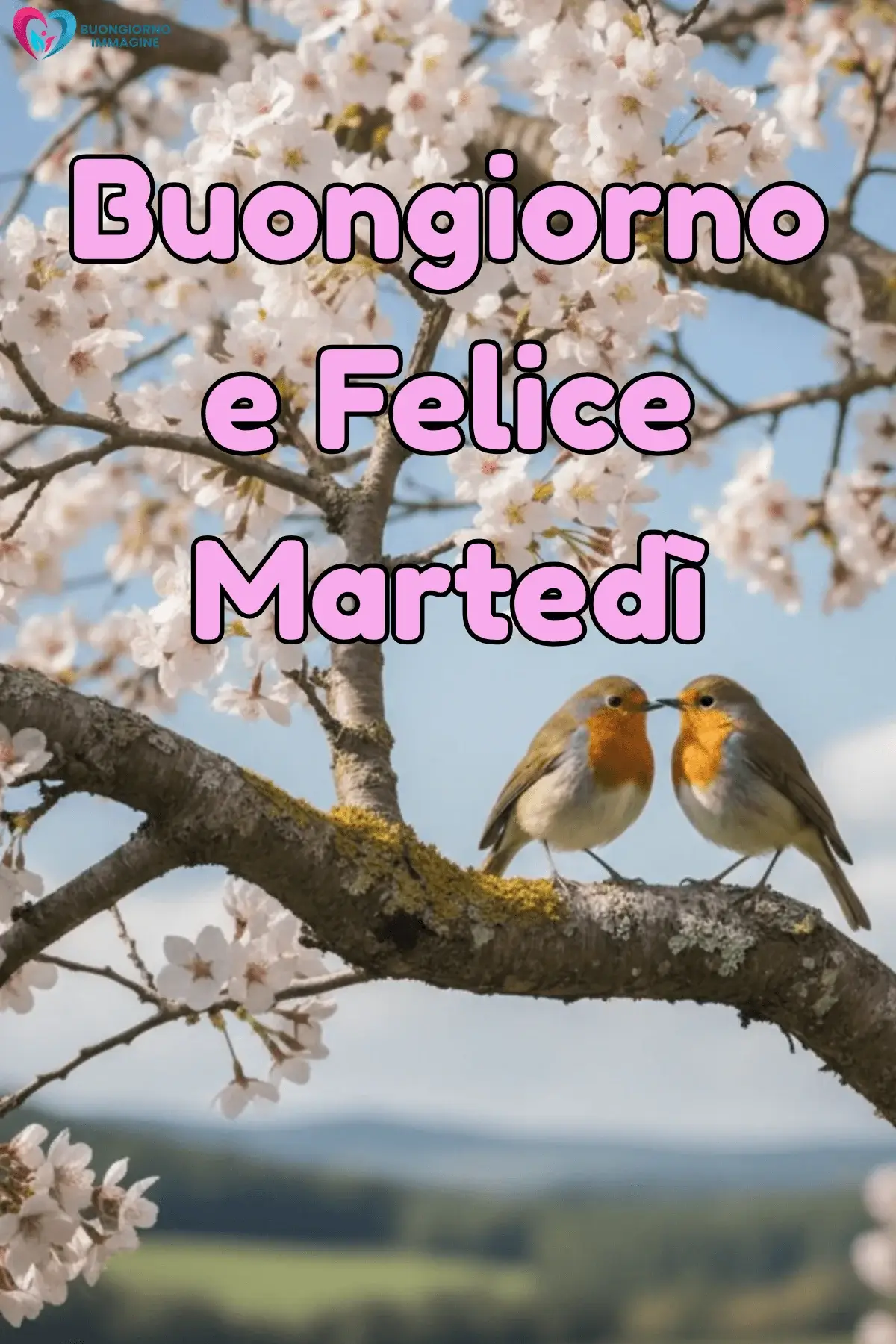 buon martedì immagini eleganti