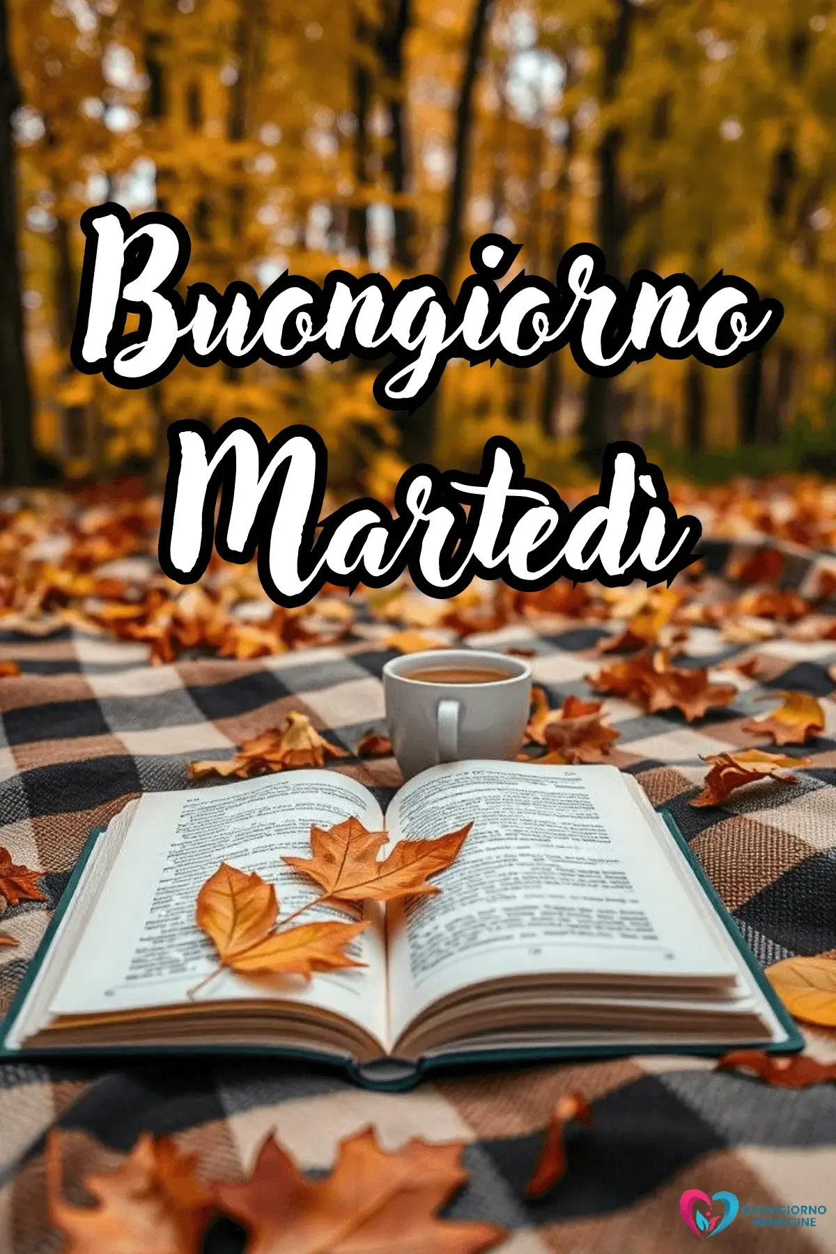 buon martedì immagini energia positiva