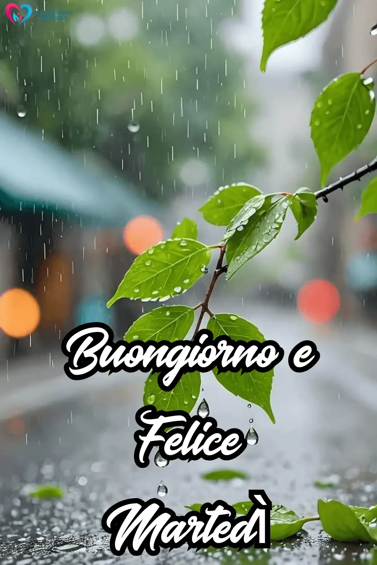 buon martedì immagini nuove 2026 gratis