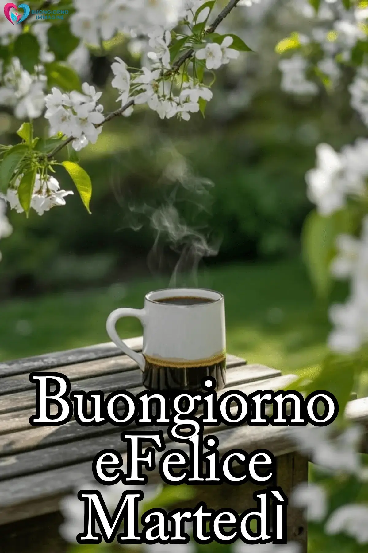 buon martedì immagini social media