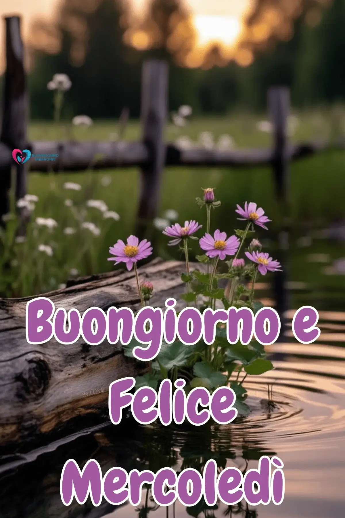 Buon Mercoledì