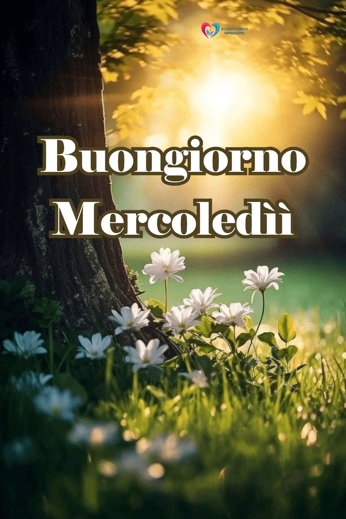 buon mercoledì immagini bellissime con paesaggi e frasi ispirazionali