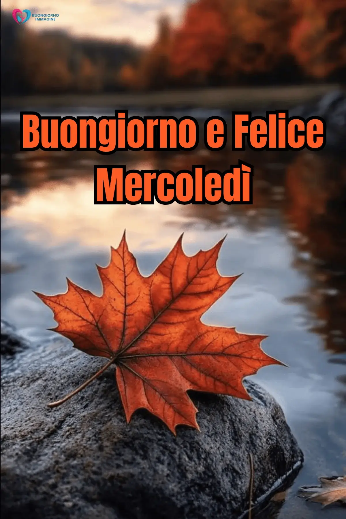 buon mercoledì immagini con citazioni motivazionali e design creativo