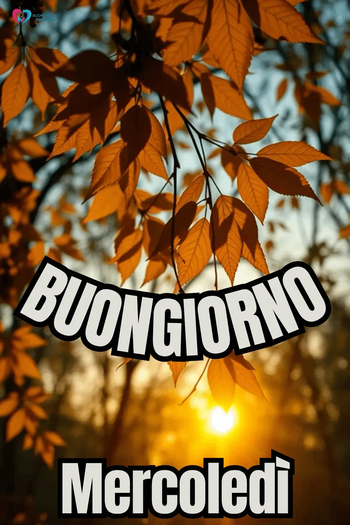 buon mercoledì immagini con energia e positività per social