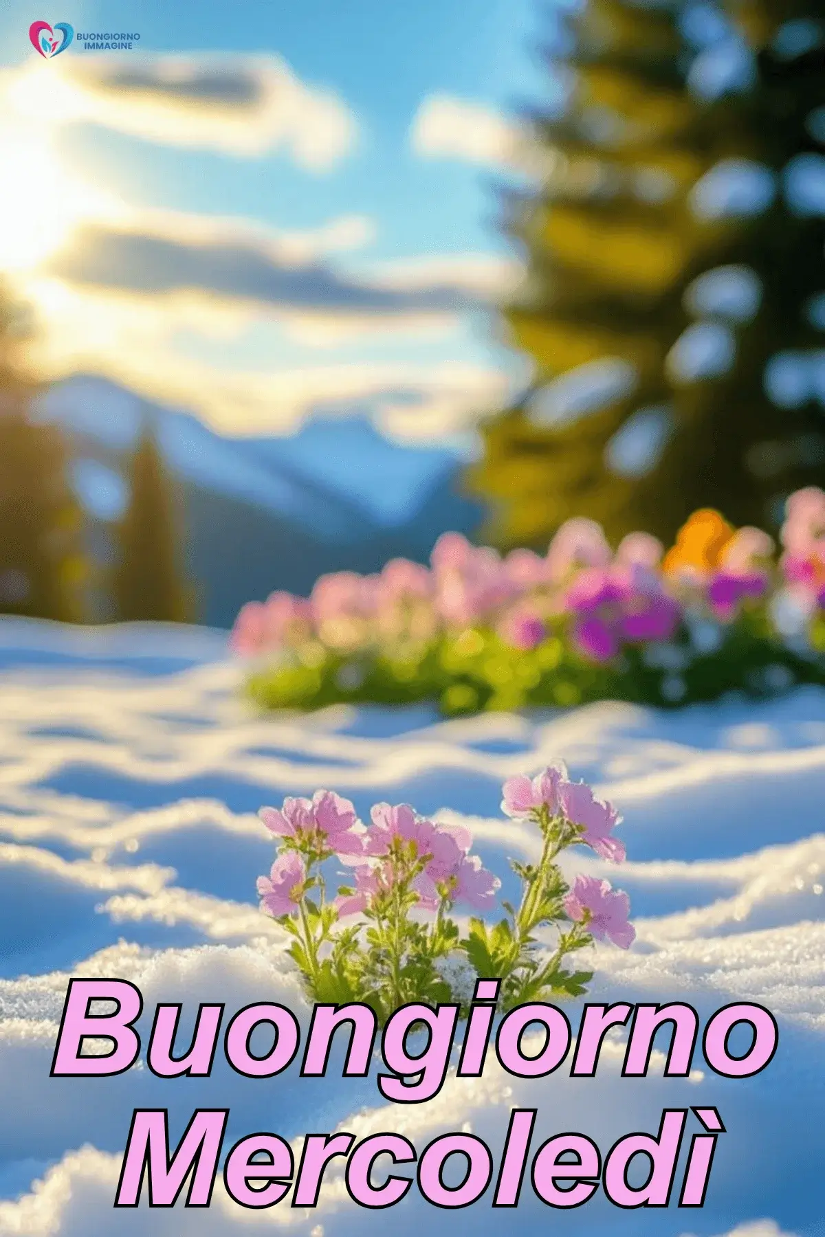 buon mercoledì immagini con energia mattutina e parole ispiranti