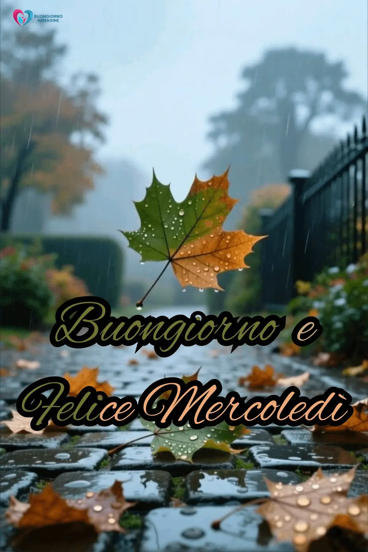 buon mercoledì immagini con fiori rosa e citazioni dolci