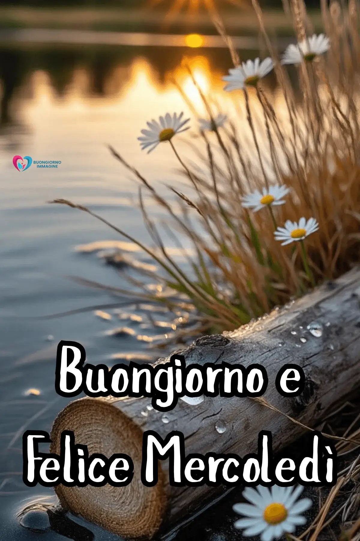 buon mercoledì immagini con frasi brevi e design moderno