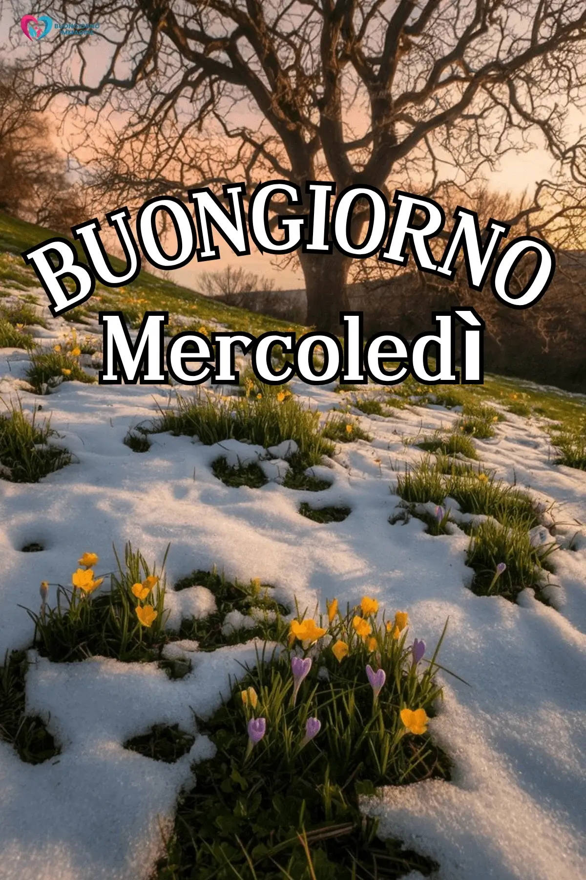 buon mercoledì immagini con stile minimal e frasi brevi