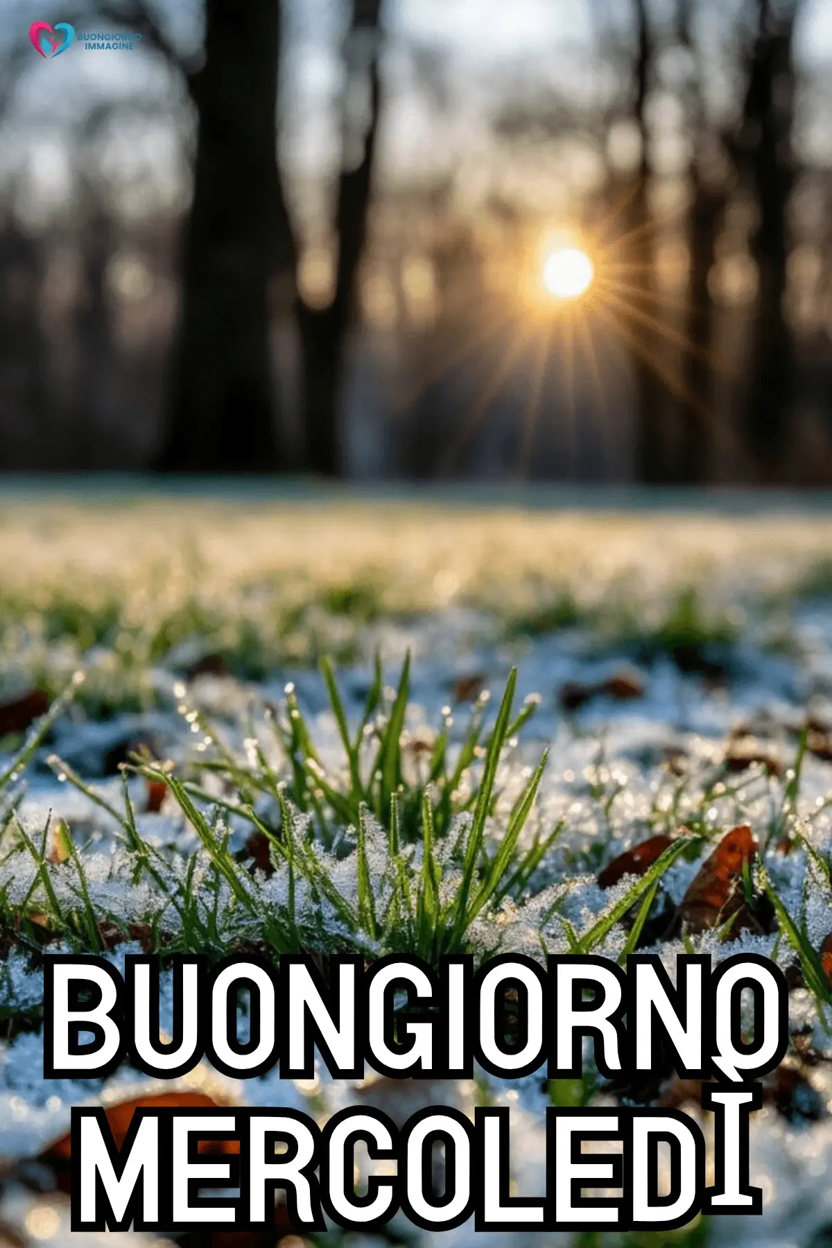 buon mercoledì immagini con vibes positive e design elegante