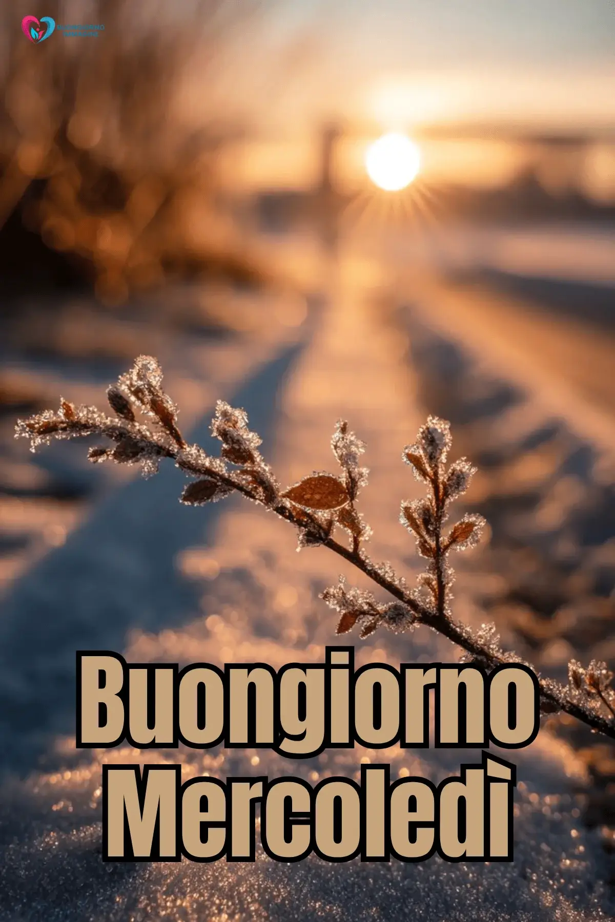 buon mercoledì immagini creative con citazioni e stile moderno
