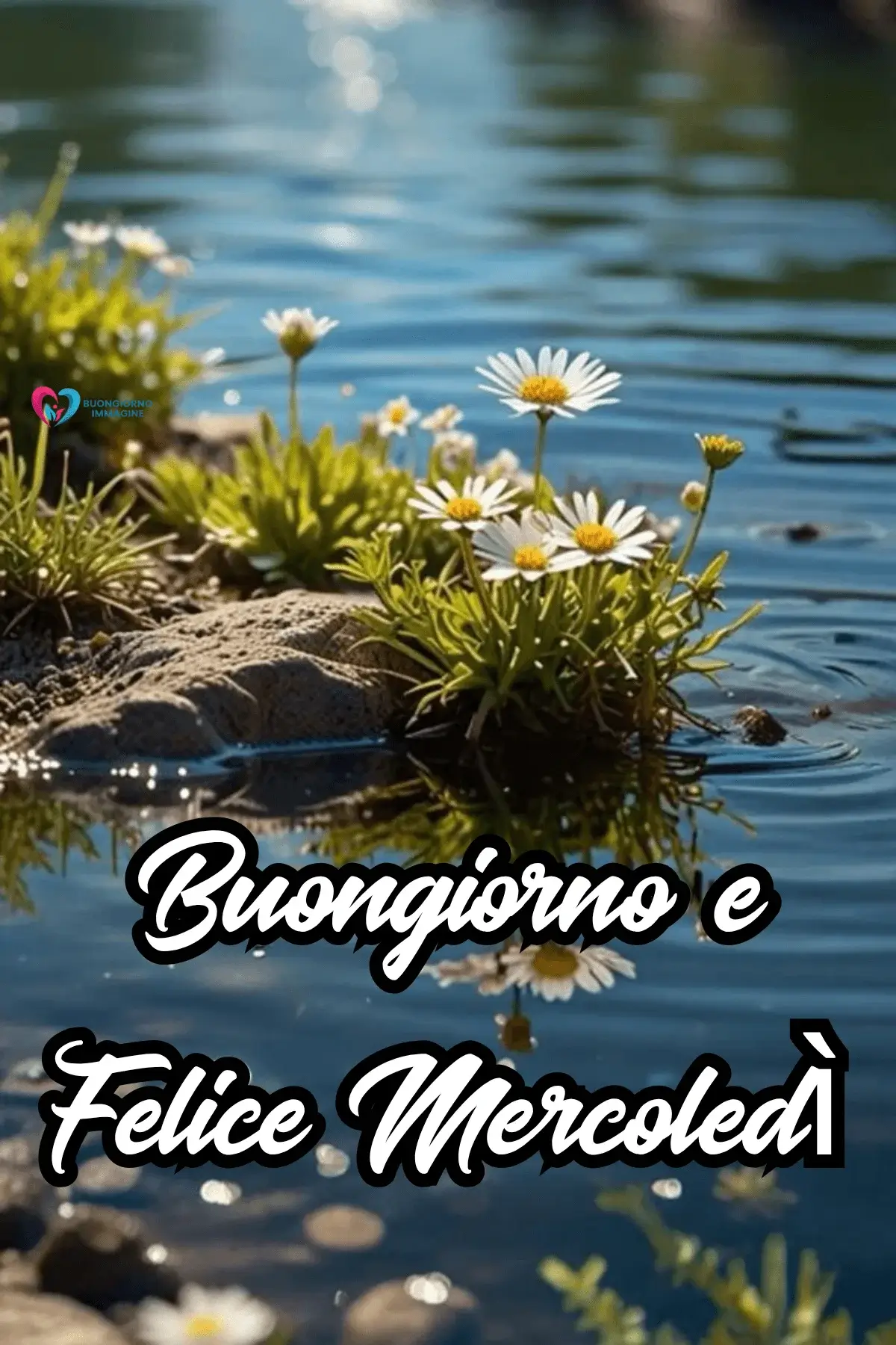 buon mercoledì immagini divertenti con messaggi simpatici per amici