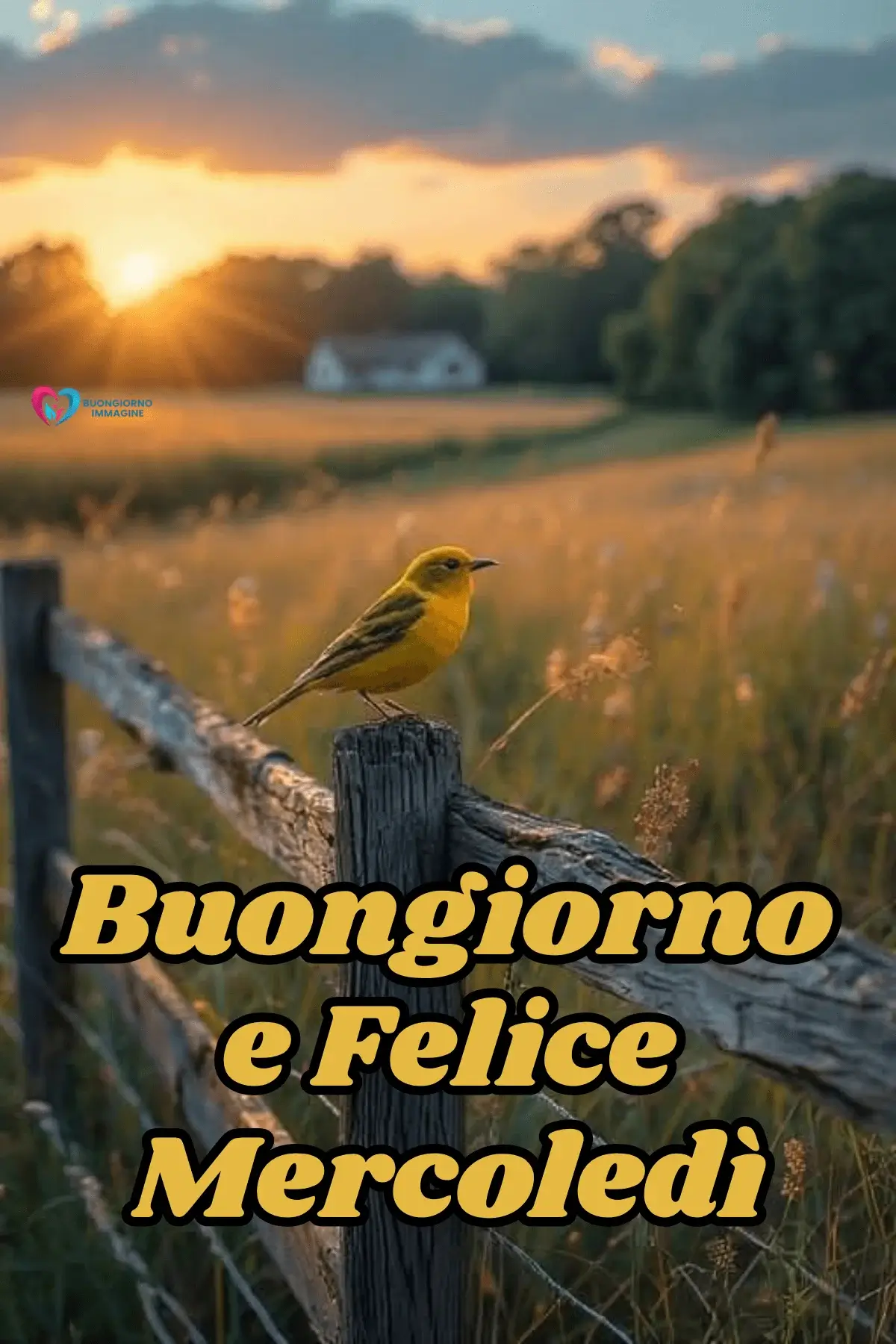 buon mercoledì immagini per whatsapp con stile creativo e moderno