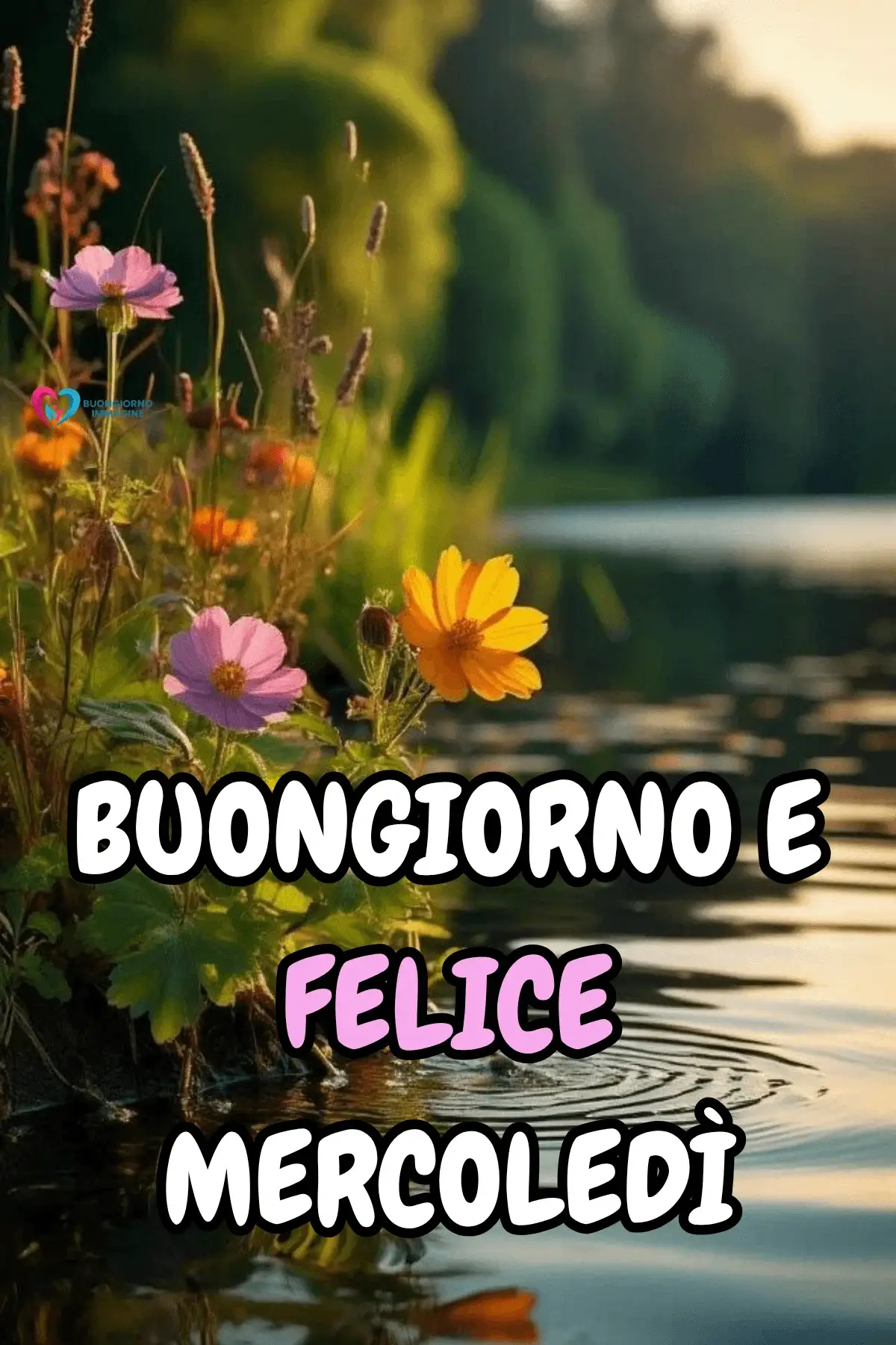 buon mercoledì immagini romantiche con amore e messaggi dolci