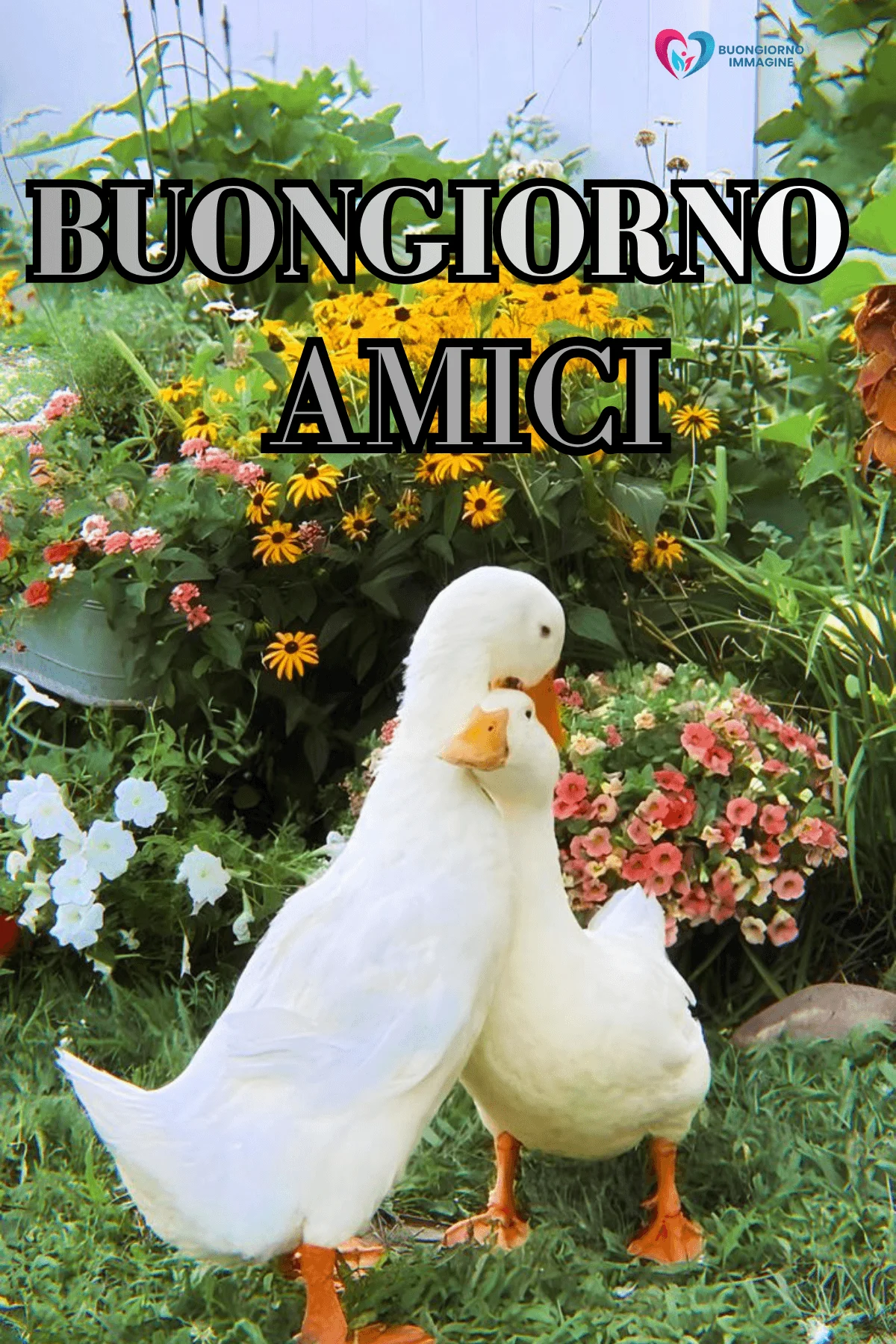 buongiorno amici nuove immagini con fiori