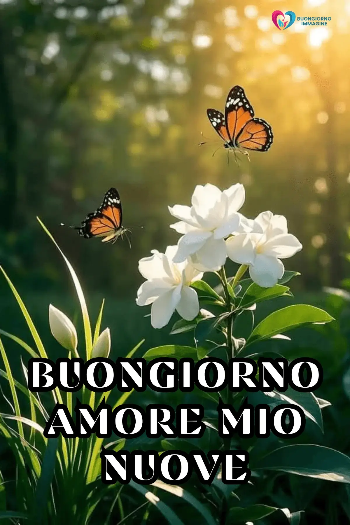 buongiorno amore immagini con caffè
