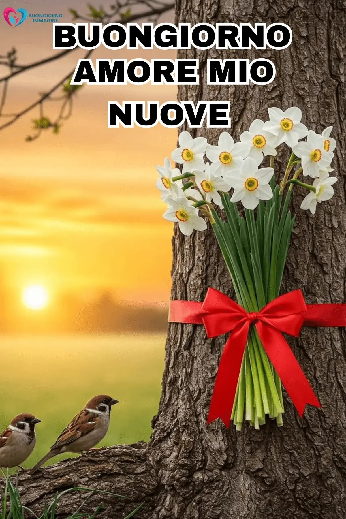 buongiorno amore immagini con cuore