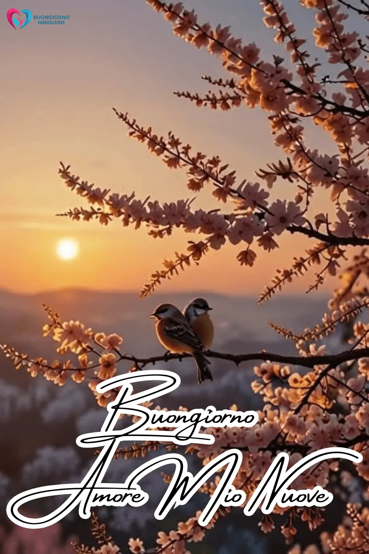 buongiorno amore immagini creative