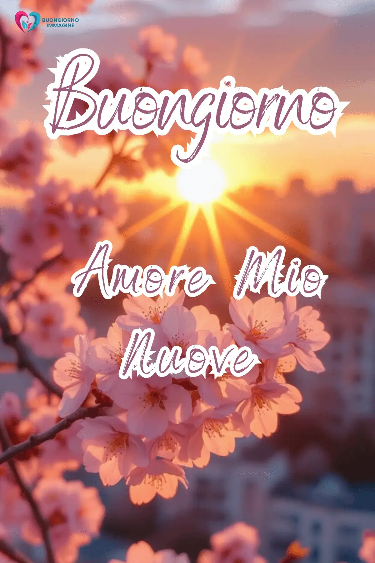 buongiorno amore immagini hd whatsapp