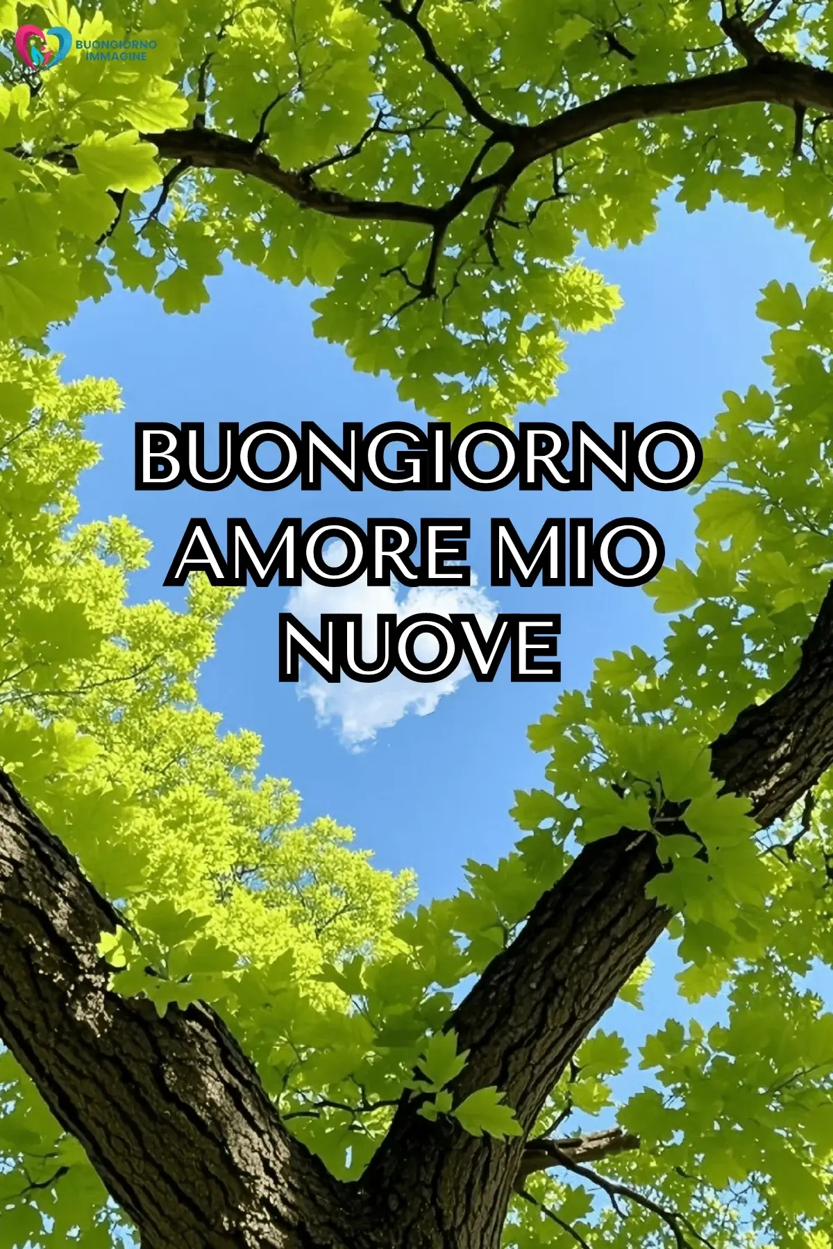 buongiorno amore immagini mattina romantica