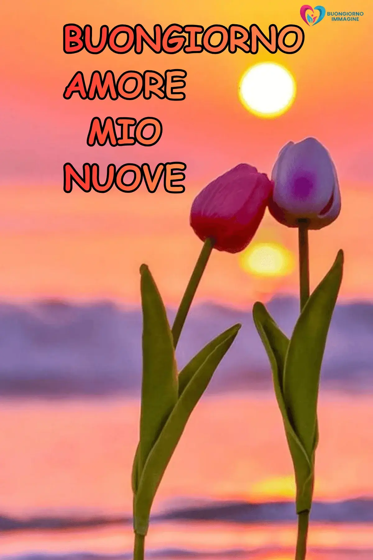 buongiorno amore immagini tenere nuove