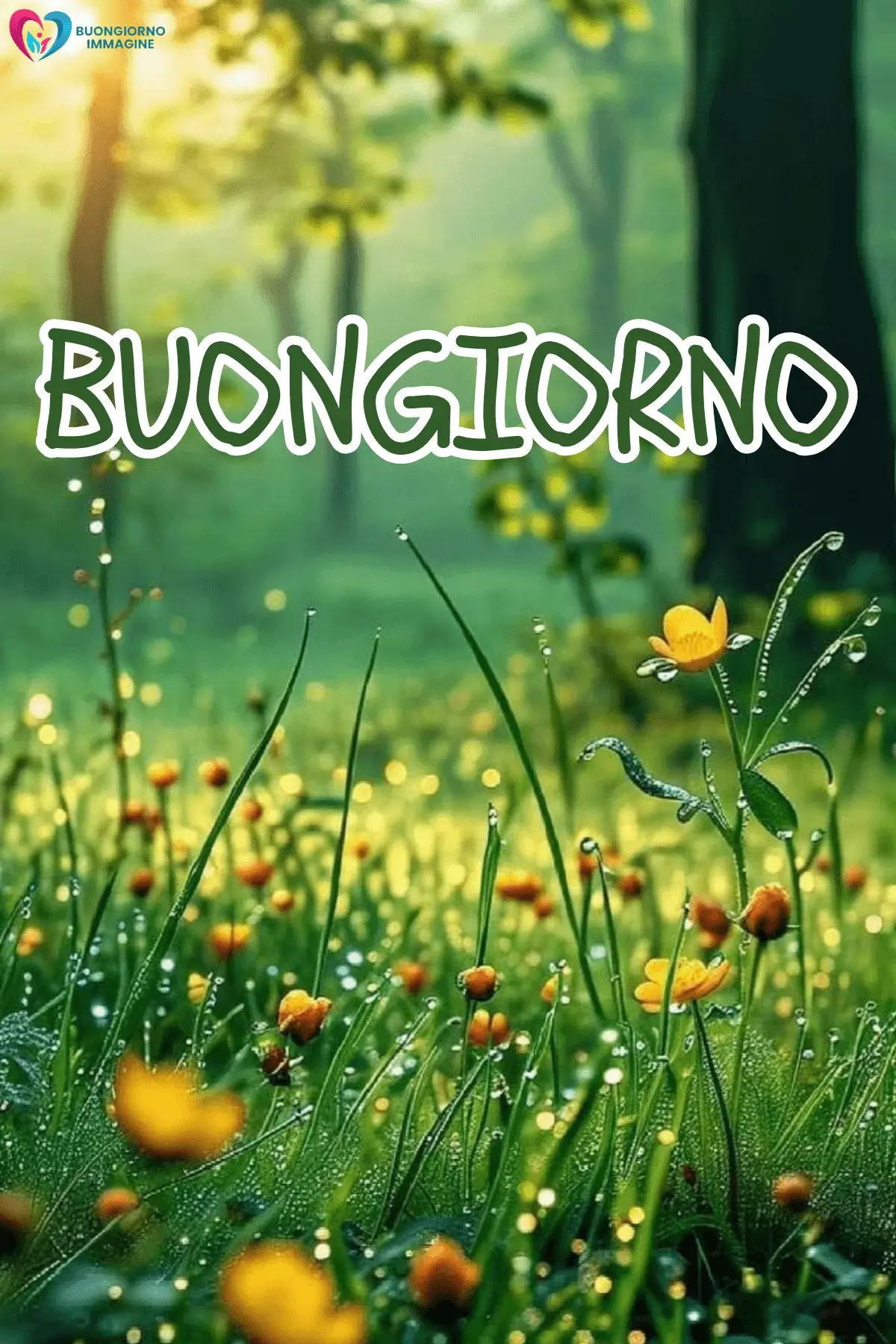 buongiorno con i fiori e atmosfera mattutina e parole positive