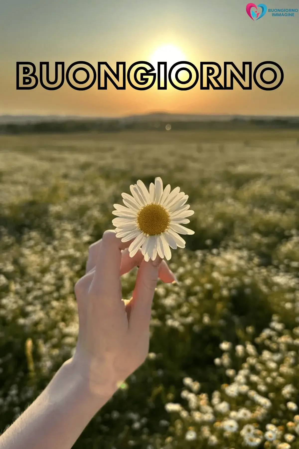 buongiorno con i fiori e atmosfera primaverile e relax