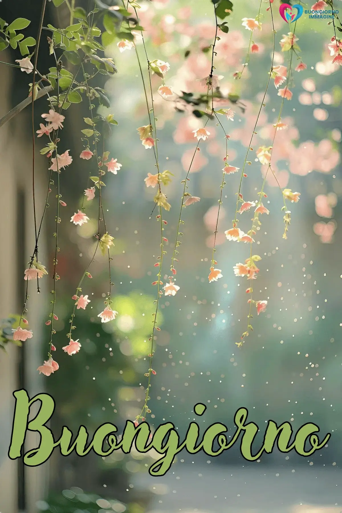 buongiorno con i fiori e colori naturali e vibes positive