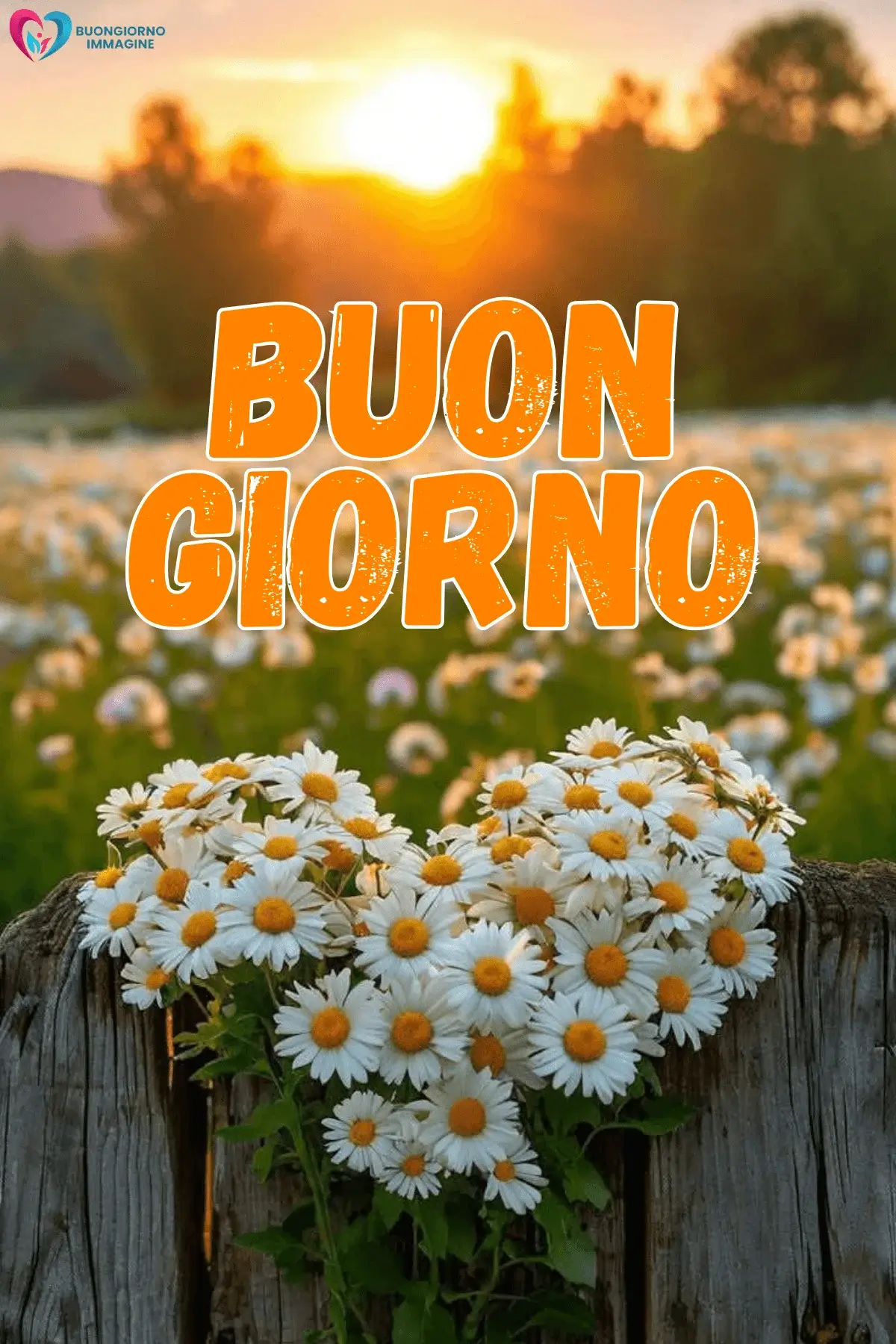 buongiorno con i fiori e colori vivaci e energia positiva