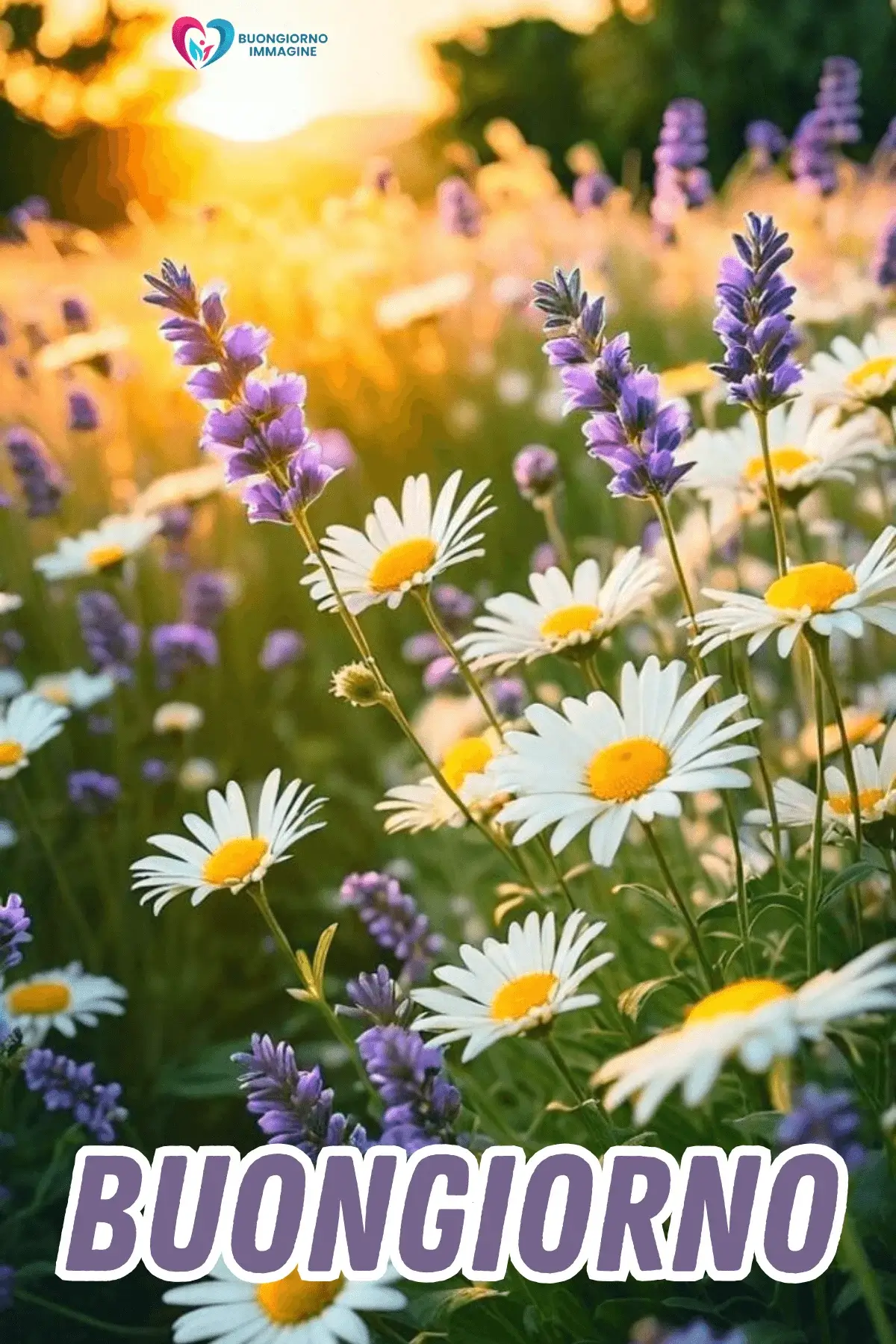 buongiorno con i fiori e energia positiva e serenità